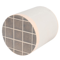 Filtro Antiparticolato DPF per Sistema di Aspirazione Aria Motore 2026