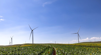 Système hybride solaire et éolien hors réseau JinSun pour utilisation agricole avec batterie au plomb-acide modèle 09 48V-380V en sortie