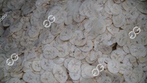 Machines de fabrication de chips de banane Offre Spéciale Gelgoog Fournisseurs de ligne de production Lignes commerciales de chips de banane/plantain - Product Image 5