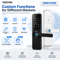 Fabricant de serrures intelligentes Tediton OEM ODM certifié CE FCC avec personnalisation du logo pour les marques de distributeurs