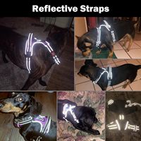 Harnais pour chien personnalisable en nylon respirant et réglable, marque privée OEM, pour chiens de petite, moyenne et grande taille