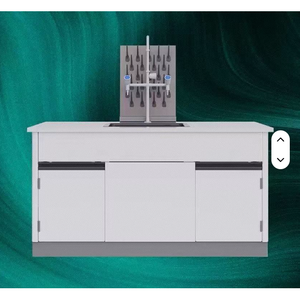 Banc de laboratoire à cadre en H antirouille, surface enduite de poudre sur cadre en H pour une longue durée de vie dans les environnements de laboratoire humides - Product Image 5
