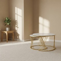 Ensemble de tables basses pour salon personnalisable, multicolores, style moderne minimaliste, avec structure en métal
