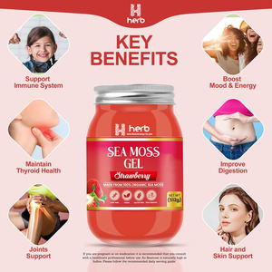 Marque distributeur OEM/ODM Mousse de mer d'Irlande gommeuse à base de plantes bio pour adultes 60 unités - Product Image 4