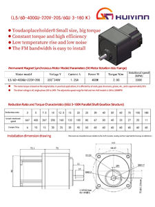 400 W Synchrone Motor AC220V 400W Tandwielmotor Met Kettingoverbrenging Permanente Magneet Broedmachine Motor - Product Image 5