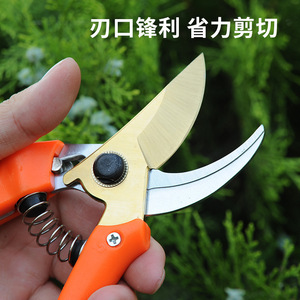 Bypass <b>Pruner</b> Stainless Steel Orange 20-30 Mm For Garden Fruit <b>Tree</b> Trimming - Product Image 5