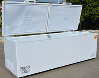 Congélateur coffre horizontal grande capacité WKN 2 portes à froid direct, température unique, N-ST Climate, excellente qualité, en promotion