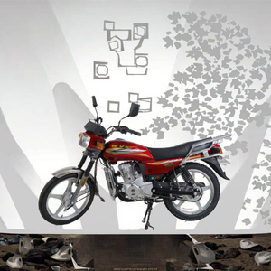 Nouveautés : motos de cross 100-200cc pour les catégories rallye et street biking - Product Image 3