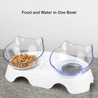 Bols doubles surélevés personnalisés OEM pour chats et chiens, avec base antidérapante, ensemble de bols doubles transparents détachables pour nourriture et eau pour chats