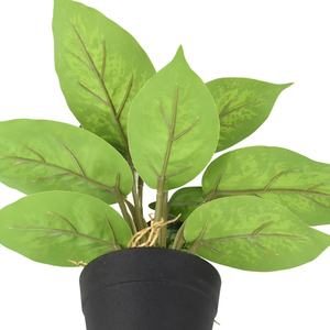 ต้นไม้ประดิษฐ์อะไกลโอเนมา ดอกไม้ปลอมเหมือนจริงสำหรับตกแต่งบนโต๊ะ - Product Image 5