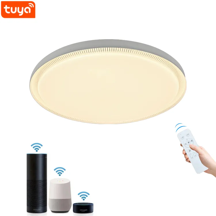 New Hot Selling Indoor Lighting PMMA Lampshade SMD Smart Control RGB Led Ceiling Lamp For House