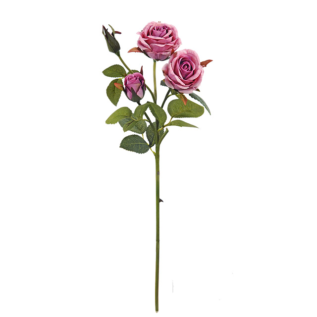 Rose Mauve