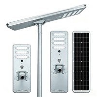 Fabricant Professionnel OEM Personnalisé Lampe Solaire Intégrée 50W 120W IP66 Auto-nettoyante pour Éclairage Extérieur de Villages et Routes