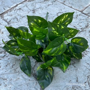 Plantas Artificiales Verdes, Paquete de 5 Ramas, Hojas de Camote, Hojas de Maní, Hojas de Taro para Decoración de <span class=keywords><strong>Bodas</strong></span> - Product Image 6