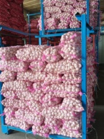 Ail frais chinois nouvelle récolte 2026, tailles 4,5-5,0 cm, variétés rouge et blanc, prix abordable, sac en filet de 10 kg pour l'exportation