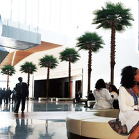 Palmier artificiel personnalisé, palmier artificiel d'extérieur, palmier artificiel écologique, faux palmier pour hôtel, club