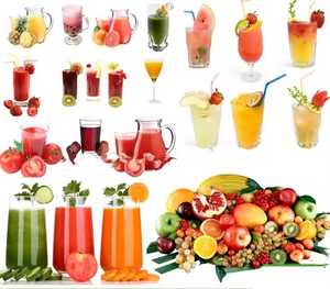 Automatic Electric Fruit & Vegetable <b>Juice</b> Extractor <b>Machine</b> with Engine for Fruit Processing Plant - Product Image 5