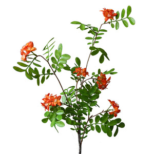 ดอกไม้ประดิษฐ์ยี่ห้อ Yihua รุ่น Sophora Japonica สีเหลือง ทำจากผ้าไหม สำหรับตกแต่งบ้าน ชุดจัดดอกไม้ประดับ - Product Image 5