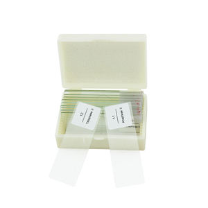 Corn Anthers <span class=keywords><strong>Meiosis</strong></span> Slide FRT1002 Matuer Anther Cell <span class=keywords><strong>Meiosis</strong></span> 12 Etapas Microscopio Especímenes preparados Biología - Product Image 5