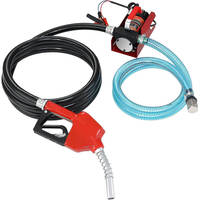 Pompe de transfert de carburant Diesel électrique auto-amorçante de débit Portable DC12V/24V 40LPM avec couvercle robuste