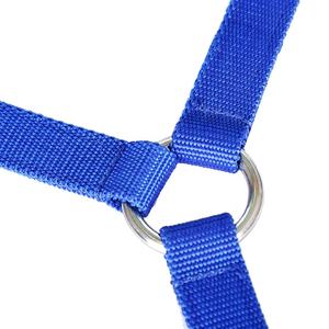 Cabestros chapados en latón Entrenamiento Miniatura Plástico Halter Caballo Nylon Neopreno Proveedor de mascotas - Product Image 5