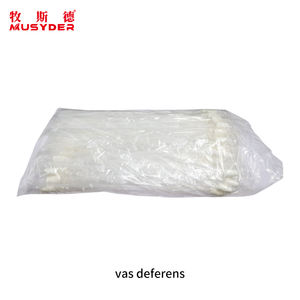 อุปกรณ์ผสมเทียมสุกร มูซิเดอร์ สายสวนใส่สเปิร์มสุกร สำหรับฟาร์มสุกร - Product Image 3