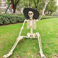 Offre Spéciale : Squelette Humain Debout de 165 cm pour Halloween – Décoration de Festival et Accessoires pour Maison Hantée, Idéal pour Fêtes d'Halloween
