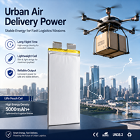 Baterai Drone 3.7V 52000mah 350wh/kg Sel Baterai Semi Solid State Densitas Energi Tinggi untuk Baterai Drone Lipo