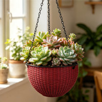 Jardinière murale traditionnelle à double pot à étages, auto-arrosante avec trou de drainage pour jardin au sol