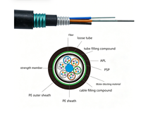 Kabel Serat Optik Berlapis Baja GYXTY Outdoor Central Tube untuk Komunikasi, 4 6 8 12 Core, Promo Hot Sale