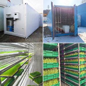 Máquina automática para germinar frijoles en granjas, sistema de cultivo de forraje, contenedor hidropónico para el cultivo de hongos - Product Image 2