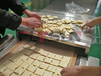 Séchoir tunnel électrique automatique Flysun à commande PLC pour la stérilisation et le séchage du tofu sur convoyeur (Haute performance)
