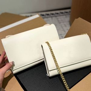 Nuevo Bolso de Mano de Diseño de Lujo, Exquisito y Compacto para Mujer, Bolso de Diseño Lujoso y Cómodo, Bolso de Hombro de Marca Reconocida - Product Image 1