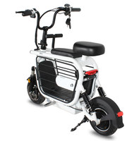 Poussette pour animaux de compagnie, scooter électrique pour chien, vélo électrique avec porte-animaux, scooter chopper, scooter électrique