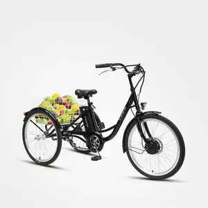 Triciclo Eléctrico de Carga con Motor de Cubo Trasero de 26 Pulgadas, 36V 250W, 6 Velocidades, Cuadro de Acero Hiten TR03 para Rueda Trasera - Product Image 1