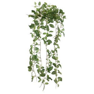 6 tiges, 360 feuilles, 80 cm de long, plante artificielle miniature en filet suspendue pour la décoration murale de la maison et du jardin - Product Image 1