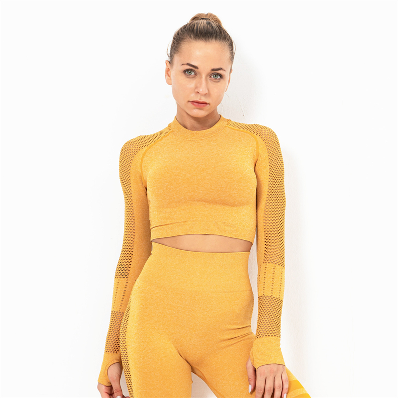 New Product 8 colors Factory Wholesale Women Seamless Bandeau Strapless Girl Sexy long sleeve Popular