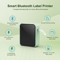 Imprimante d'étiquettes portable P15 Mini sans fil Bluetooth à transfert thermique, logo personnalisé, 1200 mAh, étiquettes autocollantes couleur