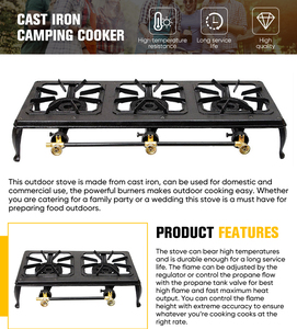 Professional Forging <strong>Process</strong> Best Price 2 Burners <strong>Gas</strong> and Electric Combine <strong>Gas</strong> Stove Cooker