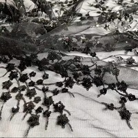 Tissu jacquard brodé en tricot DIY, 100% acrylique, résistant à l'abrasion, avec des paillettes brodées, motif d'arbre grand format, dentelle de mariage, garniture pour filles