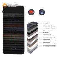Jiwan Lejia Vente en gros sur mesure Tapis chauffant en pierre à 24 photons LED pour sauna thermique et bien-être