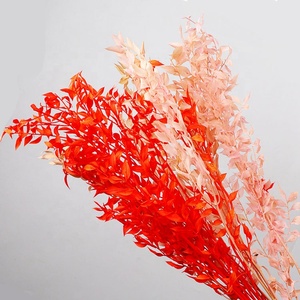 Commercio all'ingrosso di Prodotti Conservati Ricco Foglia di Fiore Fiori Secchi di Ruscus Fiori - Product Image 5