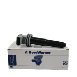 Moteur OEM de haute qualité pour <span class=keywords><strong>Porsche</strong></span> Boxster Cayman <span class=keywords><strong>911</strong></span> 997 avec OE 9A160210407 pour bobine d'allumage BorgWarner état neuf - Product Image 4