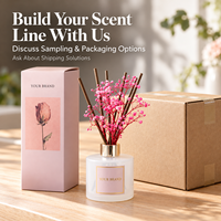 Diffuseur de parfum d'ambiance haut de gamme écologique sans alcool en verre dépoli rose avec fleurs séchées et col doré pour la maison