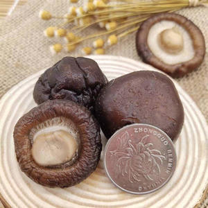Kuzeydoğu Çin'den Kuru <span class=keywords><strong>Shiitake</strong></span> Mantarı, Komluk Ağacından Yetiştirilmiş, 1 kg, Çorba ve Güveç İçin Gıda Sınıfı - Product Image 3