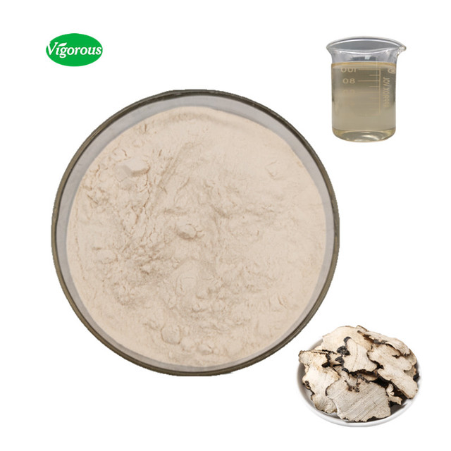 Natural High Quality Polyporus Umbellatus Extract 30%Polysaccharides Mushroom Extract Powder