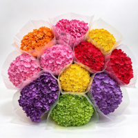 Bouquet d'hortensias naturels préservés, fleurs séchées, arrangement floral pour mariage, maison, Noël, Saint-Valentin, décoration