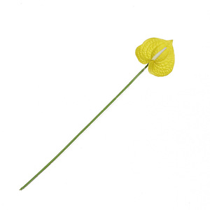 Artificial Anthurium Single Branch EV Hand Feel <b>Red</b> Palm Wedding Soft Decoration <b>Silk</b> Flower Home Furnishings Floral Art - Product Image 5