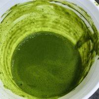 Yibenef Matcha Cérémonial Poudre Verte Fine et Brillante 30g Boîte Métallique Scellée Emballage Personnalisé Marque Privée Vente en Gros