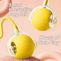 Balle interactive pour chat, jouet auto-entretenant pour chatons, accessoire pour animaux de compagnie, pour l'exercice intérieur, le soulagement de l'ennui et le plaisir quotidien